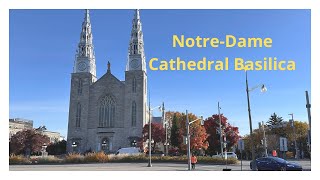 NotreDame Cathedral Basilica Ottawa [upl. by Chilson]