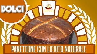 Panettone Tradizionale con Lievito Naturale [upl. by Kcirrek548]