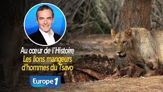 Au cœur de lhistoire Les lions mangeurs dhommes du Tsavo Franck Ferrand [upl. by Lerrad717]