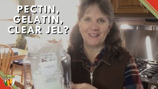 Home Canning Pectin Gelatin or Clear Jel [upl. by Edgar]