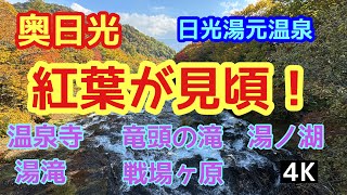 紅葉が始まりました！奥日光散策【日光湯元温泉】温泉寺 NIKKO [upl. by Noreg]