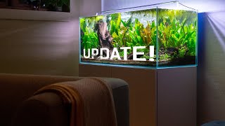 UPDATE On My Orinoco Nature Aquarium 🌿🐟 [upl. by Dougie]