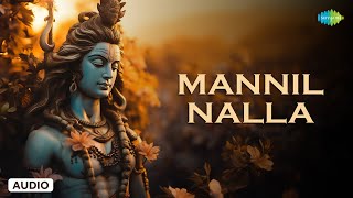 Mannil Nalla  Shiva Bhakthi Padalgal  Lord Shiva Songs Tamil  Saregama South Devotional [upl. by Placido445]