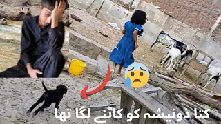 Dog sub ke Sath khelta heکتا 🐕 ذونیشہ کو کاٹنے لگا تھا  HSU pet lovers [upl. by Palua455]