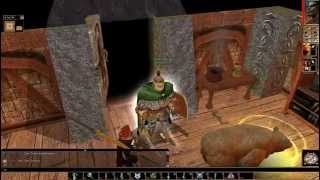 Lets Play Neverwinter Nights 91 Presenting our Findings [upl. by Trude]