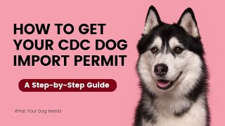 How to Get Your CDC Dog Import Permit  A StepbyStep Guide  What You Dog Needs [upl. by Ainuj]