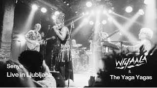 Wiyaala amp The Yaga Yagas  Live in Ljubljana [upl. by Rexer484]