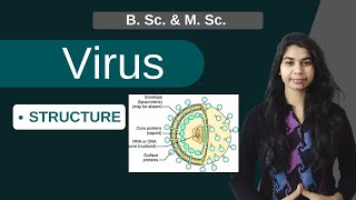 Virus  STRUCTURE OF VIRUS  B Sc amp M Sc [upl. by Nosidda]