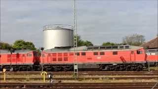 LudmillaSounds am Bodensee mit 232 703 und 232 262 Motorstarts Leerlauf und Rangieren [upl. by Eikciv]