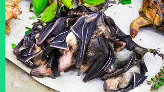 BAT SOUP in Indonesia First Time Last Time [upl. by Onek]