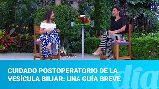 Cuidado postoperatorio de la vesícula biliar una guía breve [upl. by Abbye]