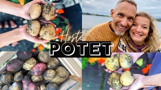 POTETER I KJØKKENHAGEN 🥔 Hvordan høste og lagre poteter Tips til å dyrke poteter [upl. by Noloc]