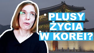 PLUSY ŻYCIA W KOREI POŁUDNIOWEJ Pyra w Korei [upl. by Mauceri]