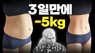 3일 만에 5kg 챗GPT가 정해준 식단으로 다이어트 해보기 [upl. by Adnelg503]