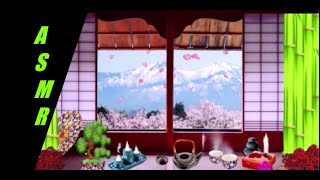 ASMR Ambience Teehaus Japan Sakura Kirschblüten Cherry Blossom Relaxing with Birds Tea Pouring [upl. by Kimbell589]