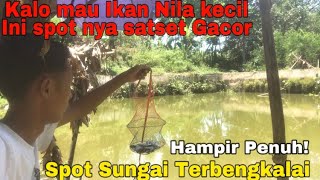 Mancing di Sungai Terbengkalai di tengah Perkebunan ternyata gak bikin kecewa‼️ [upl. by Renmus]