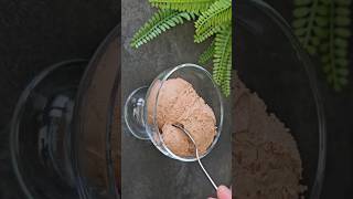 Gelato al cioccolato 🍫 tasty recipe food delicious yummy dessert icecream gelato cooking [upl. by Aneehsit]