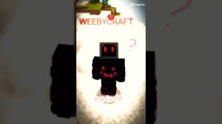 weebycraft [upl. by Alimak]