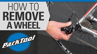 How to Remove and Install a Wheel on a Bicycle [upl. by Chrysa]