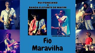 FIO MARAVILHA JORGE BEN JOR  RUI PONCIANO E BANDA ELEFANTE DE MARFIM [upl. by Ailisec]