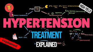 ANTIHYPERTENSIVE DRUGS Mechanism of action Side effects Pharmacology [upl. by Nommad]