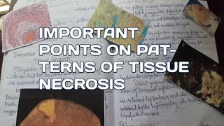 Important points on Patterns of tissue necrosisCell injuryCell deathPathology [upl. by Ridinger38]