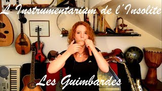 Les Guimbardes Jews Harp  LInstrumentarium de lInsolite [upl. by Mayberry41]