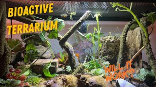 Bioactive Terrarium See whats inside [upl. by Ssitnerp]