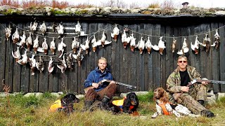 Rypejakt i Rypas Rike 2 Grouse Hunting  Ptarmigan Hunting  Lagopus [upl. by Ahoufe694]