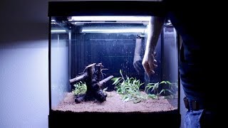 Setting up my new 55 Gallon Fish Tank Aquarium  Juwel Lido 200 LED [upl. by Surbeck]