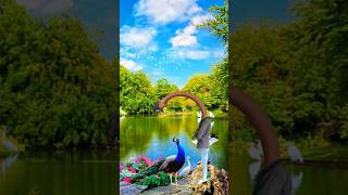 Artificial peacock water transport to rescue drought special effect daught funnyvfx viral [upl. by Enaht]