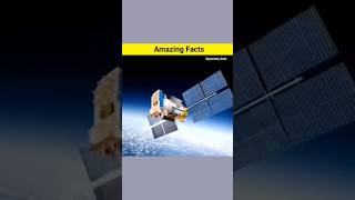 amazingfacts shorts videos trebdingshortvideo trendingshorts facts [upl. by Adnhoj]