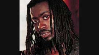 Beenie Man  ganja farm [upl. by Vachill502]