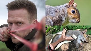 Slingshot Squirrel Hunting  Composite EVO Review [upl. by Hsirehc]