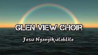 Glen View SDA Choir  Jesu Ngangikulahlile [upl. by Rimat162]