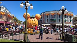 Halloween at Disneyland 2024 [upl. by Aleyak328]