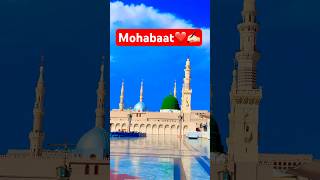 Mohabat❤️ live madina friday shorts madinavlog [upl. by Llehcar]