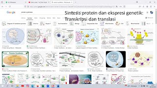 Sintesis protein dan ekspresi genetik Transkripsi dan translasi [upl. by Francyne]