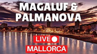 🔴 LIVE Magaluf to Palmanova Mallorca Majorca Spain  14 August 2022 [upl. by Ecnal]