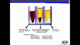 Biotech Support Group HemogloBind™ Hemoglobin Depletion From Hemolyzed SerumPlasma [upl. by Aniles]