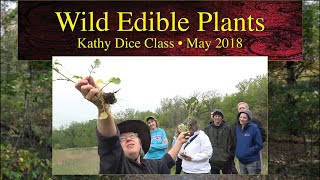 Wild Edible Plants • Kathy Dice class • May 2018 • Fairfield Iowa [upl. by Octavla]