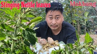 FIRST TIME TRYING STINGING NETTLE LEAVES BOILED MUKBANG NAGA TUENSANG NAGALAND NORTHEAST INDIA [upl. by Stoddard989]