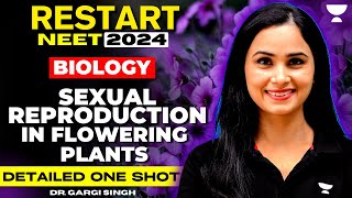 Sexual Reproduction in Flowering Plants  Detailed One Shot  NEET 2024  Dr Gargi Singh [upl. by Liatris959]