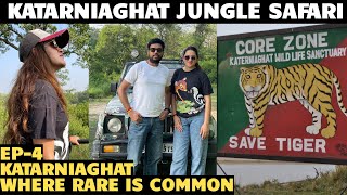 katarniaghat wildlife sanctuary open jeep safari  Jungle Safari In Hidden Tiger Reserve of UP EP 4 [upl. by Hasheem730]