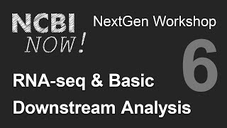 NCBI NOW Lecture 6 RNAseq and Basic Downstream Analysis [upl. by Rehm]