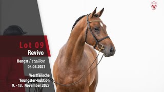 YoungsterAuktion Lot 09 Revivo Hengst v Inaico VDL  Zapatero VDL [upl. by Eehc]