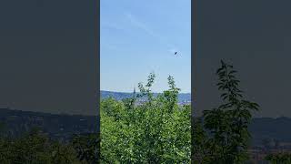 First observation deck on the climb to Schlossberg Graz respect travel europe shorts [upl. by Aynek589]