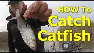 How to catch channel catfish  How I fish for catfish Bait Rigs Net [upl. by Imas]