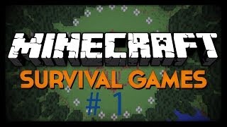 Minecraft Hungergames 1 unlösbare Rätsel  Sicht David HD [upl. by Belle]