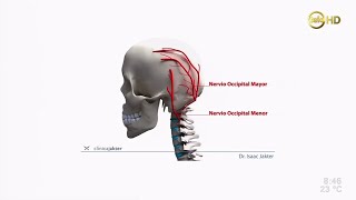 Dolor de cabeza  Neuralgia occipital  Dr Isaac Jakter [upl. by Giverin]